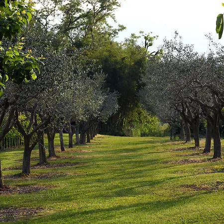 Ca' Milone Bed and Breakfast San Pietro Di Feletto