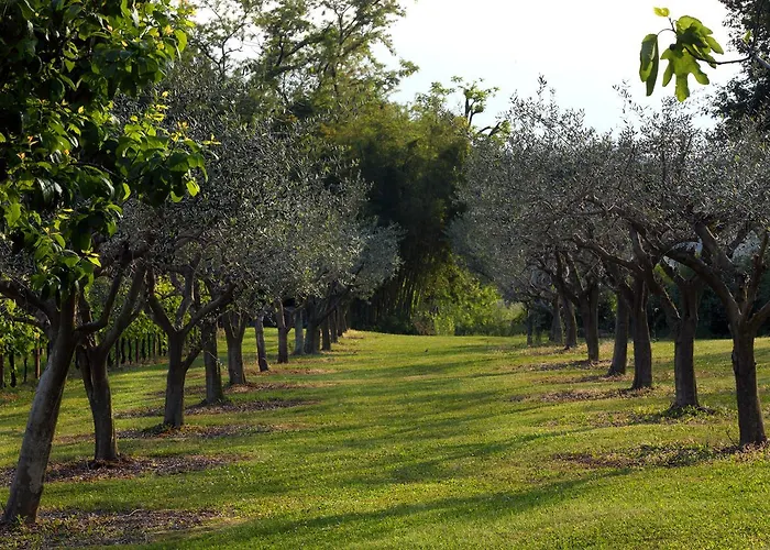 Ca' Milone Alojamento de Acomodação e Pequeno-almoço San Pietro Di Feletto